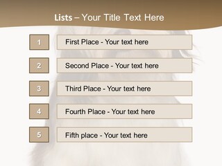 A White And Brown Dog Sitting On Top Of A White Floor PowerPoint Template