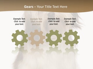 A White And Brown Dog Sitting On Top Of A White Floor PowerPoint Template