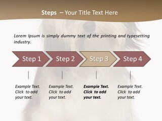 A White And Brown Dog Sitting On Top Of A White Floor PowerPoint Template