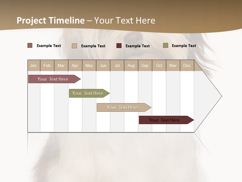 A White And Brown Dog Sitting On Top Of A White Floor PowerPoint Template