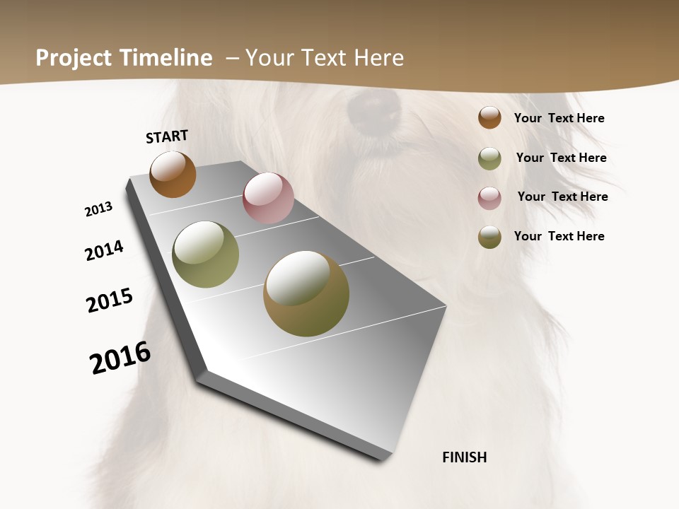A White And Brown Dog Sitting On Top Of A White Floor PowerPoint Template