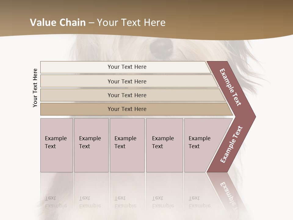 A White And Brown Dog Sitting On Top Of A White Floor PowerPoint Template