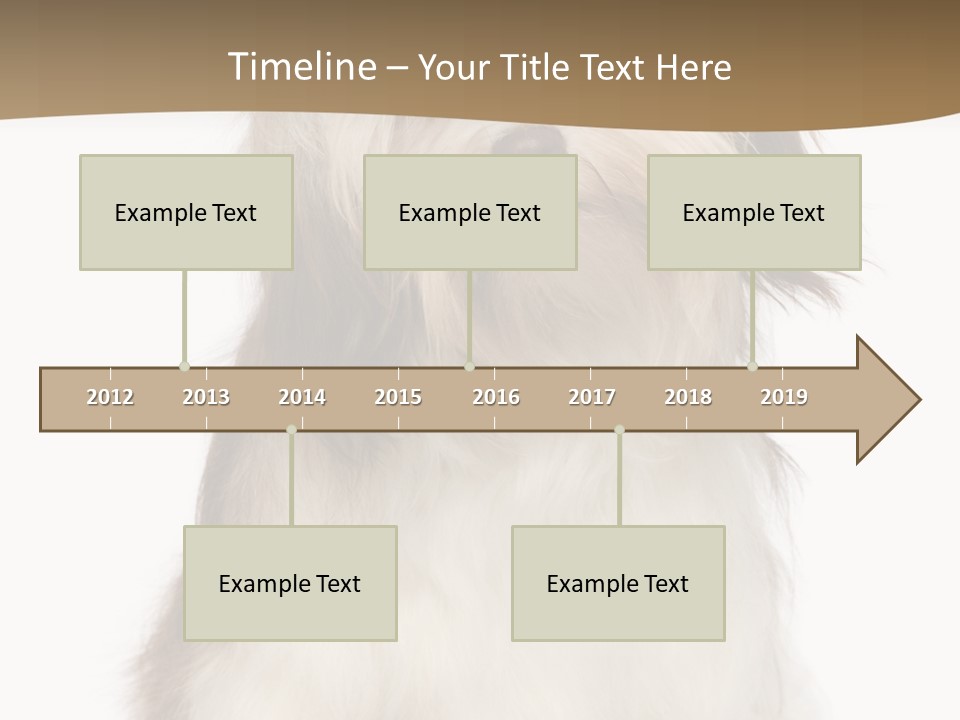 A White And Brown Dog Sitting On Top Of A White Floor PowerPoint Template