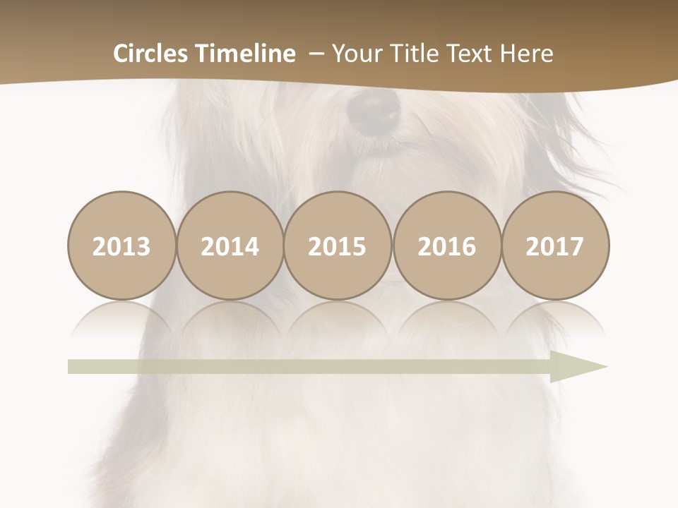 A White And Brown Dog Sitting On Top Of A White Floor PowerPoint Template