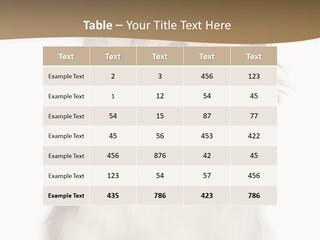 A White And Brown Dog Sitting On Top Of A White Floor PowerPoint Template