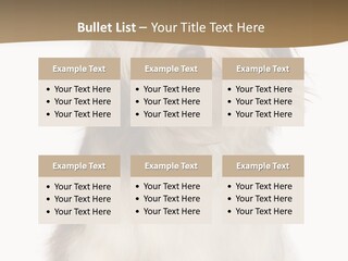 A White And Brown Dog Sitting On Top Of A White Floor PowerPoint Template