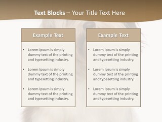 A White And Brown Dog Sitting On Top Of A White Floor PowerPoint Template