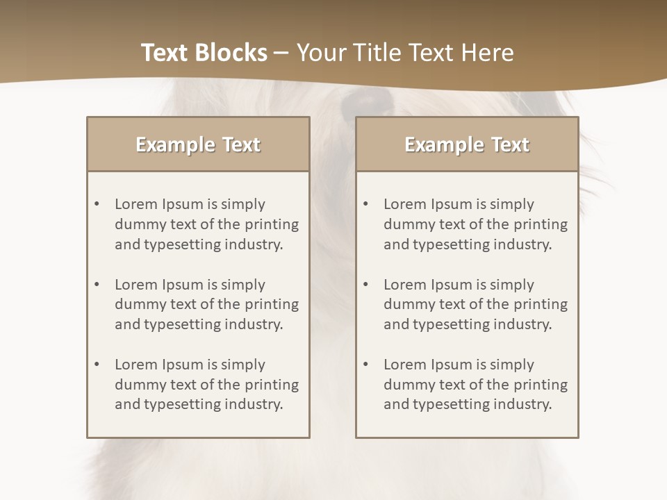 A White And Brown Dog Sitting On Top Of A White Floor PowerPoint Template