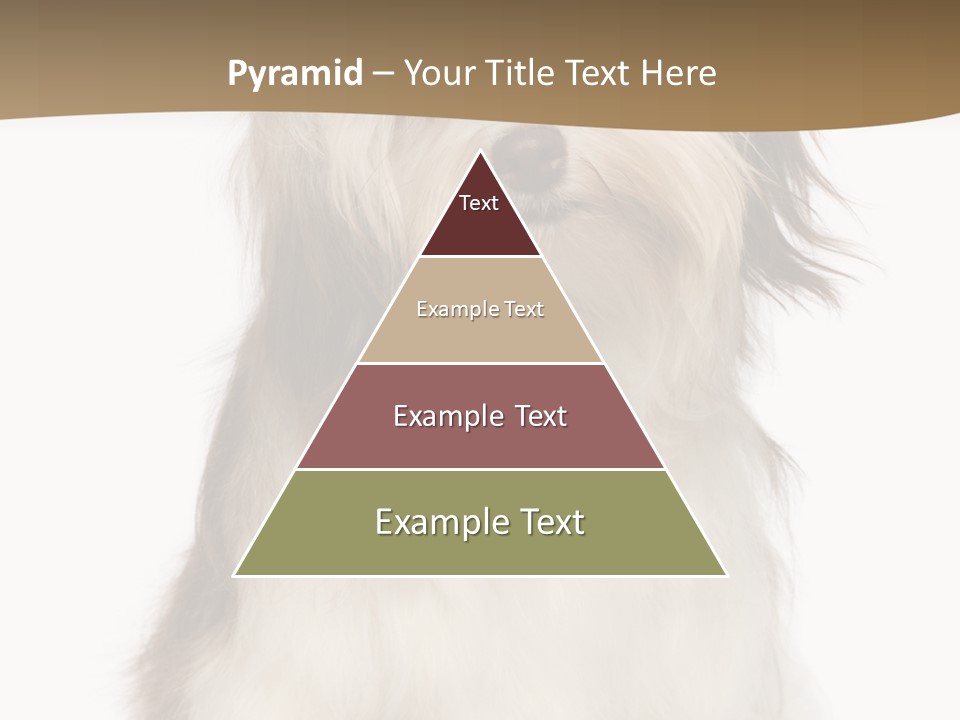 A White And Brown Dog Sitting On Top Of A White Floor PowerPoint Template