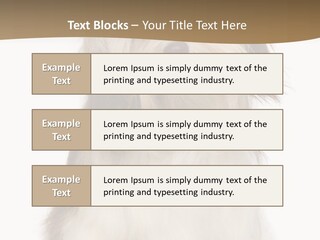 A White And Brown Dog Sitting On Top Of A White Floor PowerPoint Template