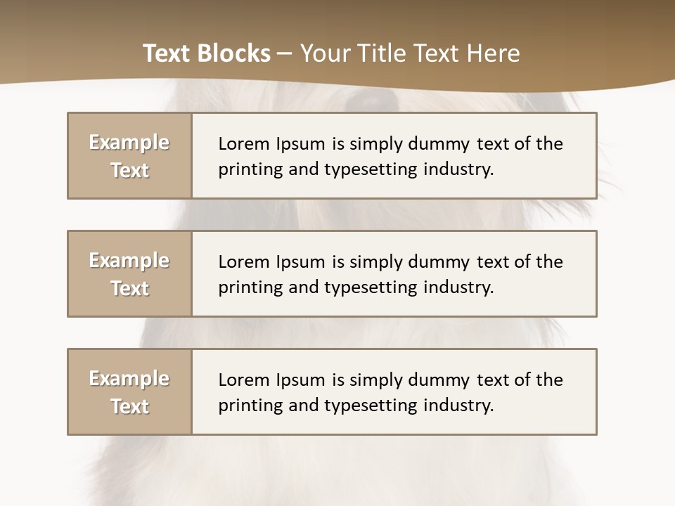 A White And Brown Dog Sitting On Top Of A White Floor PowerPoint Template