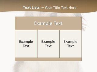 A White And Brown Dog Sitting On Top Of A White Floor PowerPoint Template