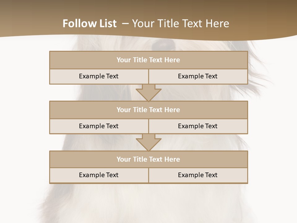 A White And Brown Dog Sitting On Top Of A White Floor PowerPoint Template