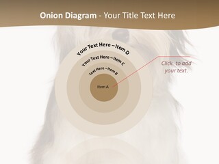 A White And Brown Dog Sitting On Top Of A White Floor PowerPoint Template