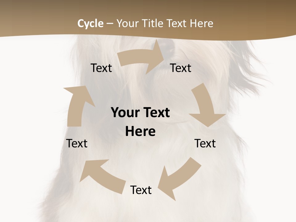 A White And Brown Dog Sitting On Top Of A White Floor PowerPoint Template