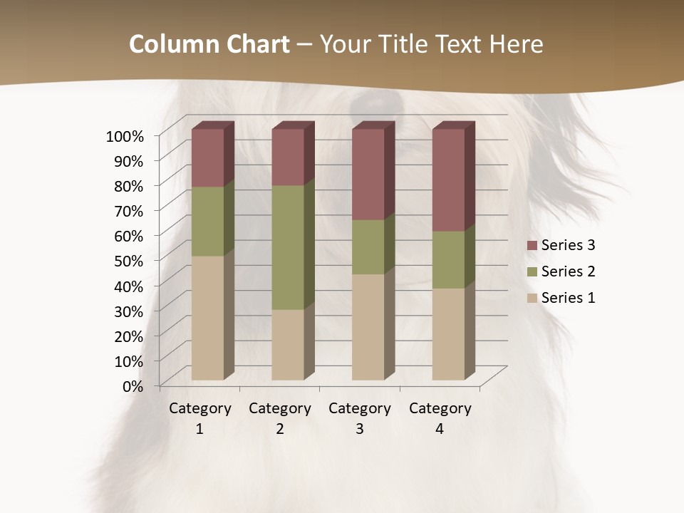 A White And Brown Dog Sitting On Top Of A White Floor PowerPoint Template