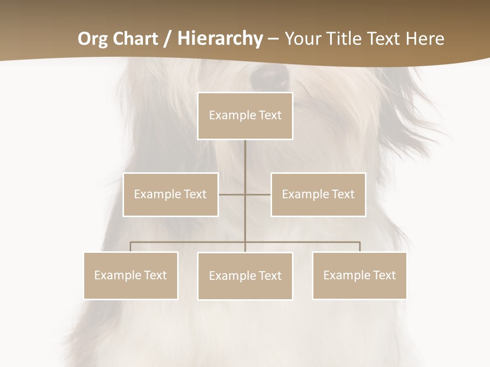 A White And Brown Dog Sitting On Top Of A White Floor PowerPoint Template