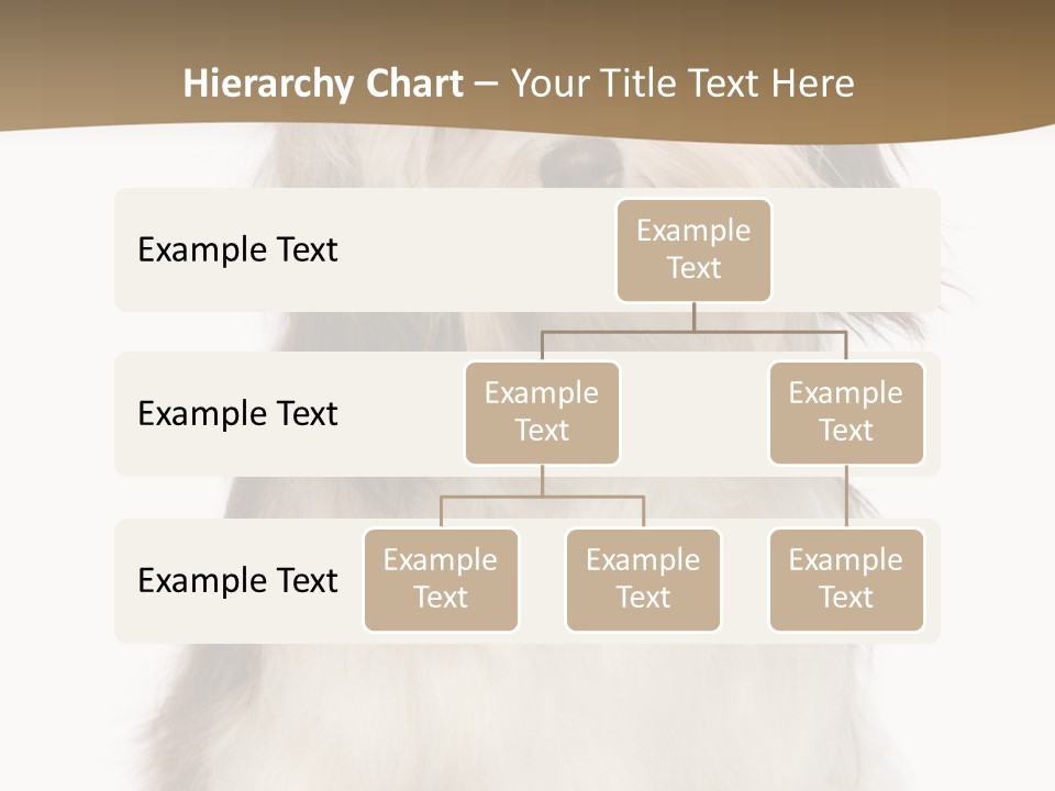 A White And Brown Dog Sitting On Top Of A White Floor PowerPoint Template