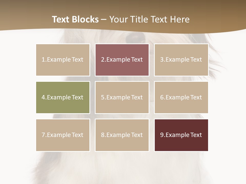 A White And Brown Dog Sitting On Top Of A White Floor PowerPoint Template