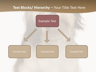 A White And Brown Dog Sitting On Top Of A White Floor PowerPoint Template