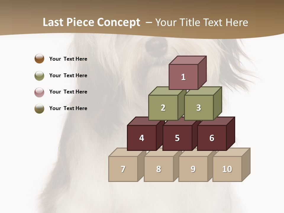A White And Brown Dog Sitting On Top Of A White Floor PowerPoint Template