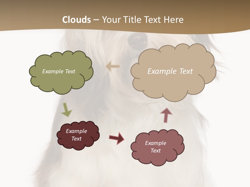 A White And Brown Dog Sitting On Top Of A White Floor PowerPoint Template