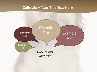 A White And Brown Dog Sitting On Top Of A White Floor PowerPoint Template