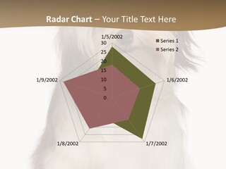 A White And Brown Dog Sitting On Top Of A White Floor PowerPoint Template