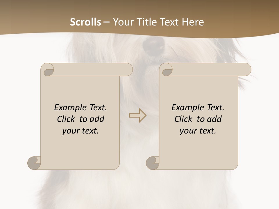 A White And Brown Dog Sitting On Top Of A White Floor PowerPoint Template