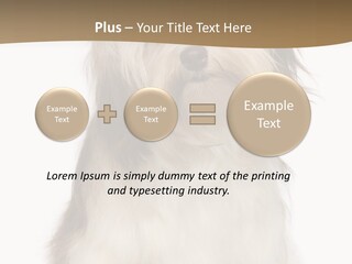 A White And Brown Dog Sitting On Top Of A White Floor PowerPoint Template