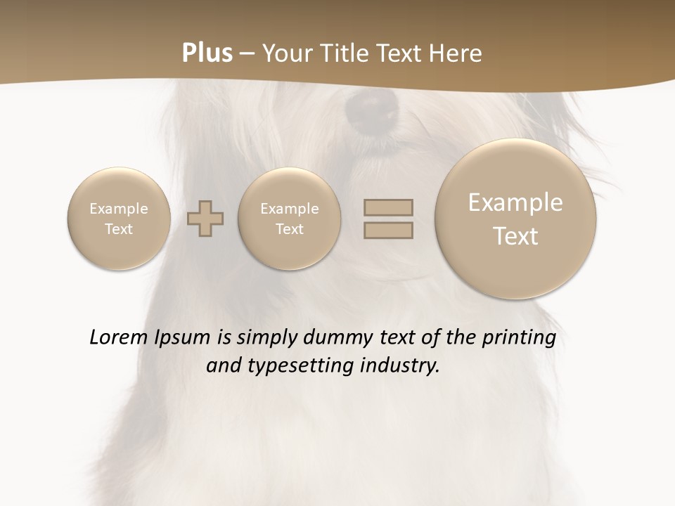 A White And Brown Dog Sitting On Top Of A White Floor PowerPoint Template