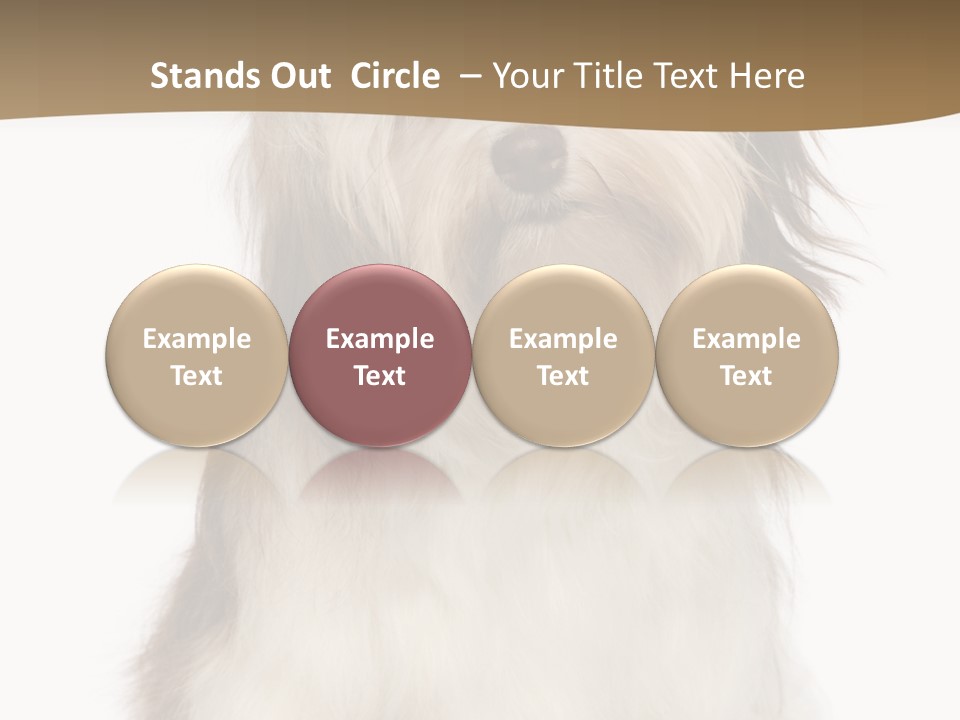 A White And Brown Dog Sitting On Top Of A White Floor PowerPoint Template