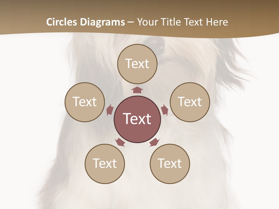 A White And Brown Dog Sitting On Top Of A White Floor PowerPoint Template