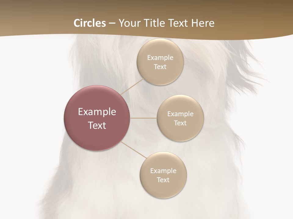 A White And Brown Dog Sitting On Top Of A White Floor PowerPoint Template