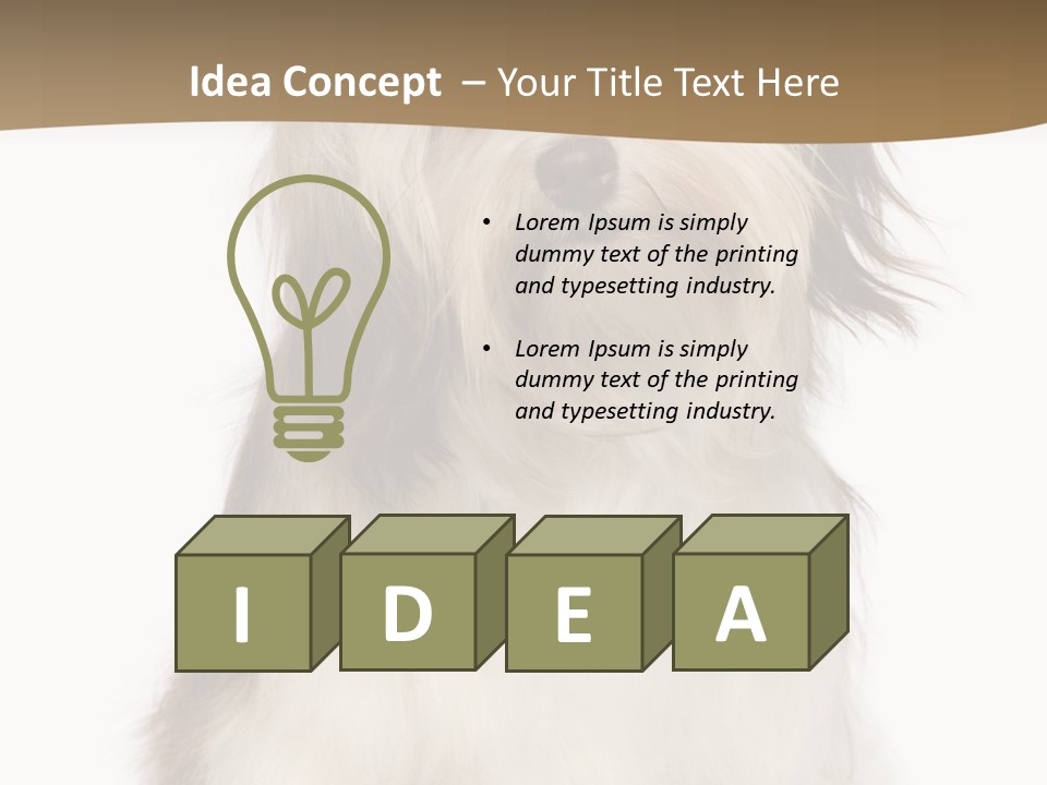 A White And Brown Dog Sitting On Top Of A White Floor PowerPoint Template