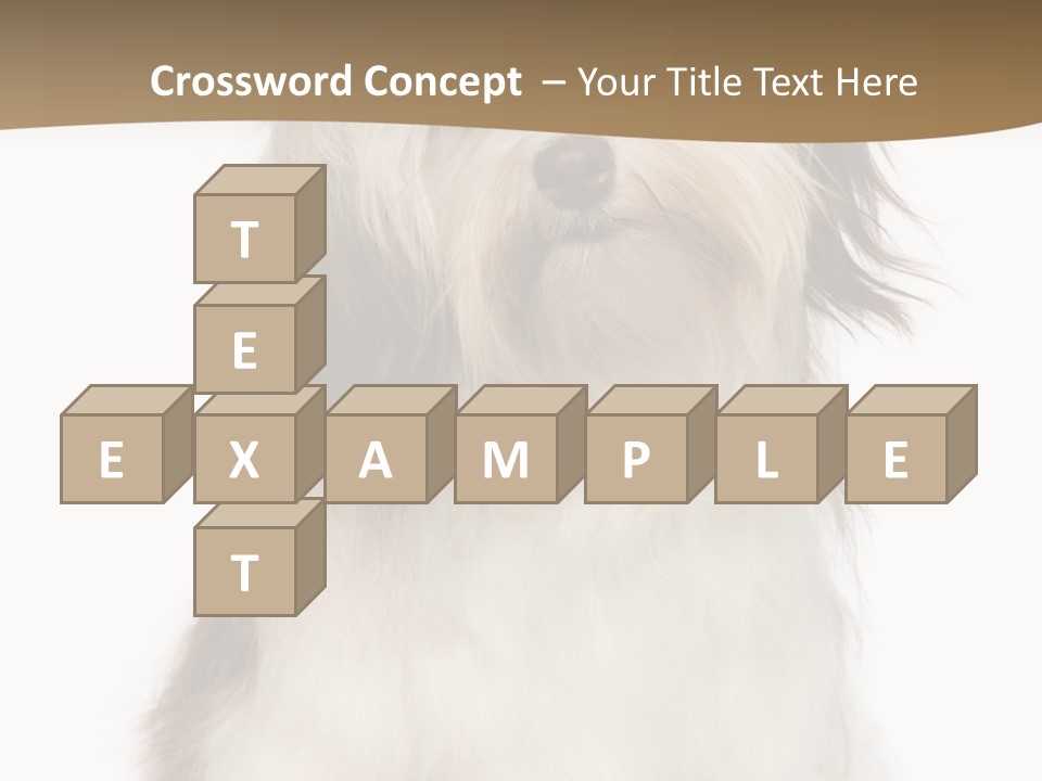 A White And Brown Dog Sitting On Top Of A White Floor PowerPoint Template