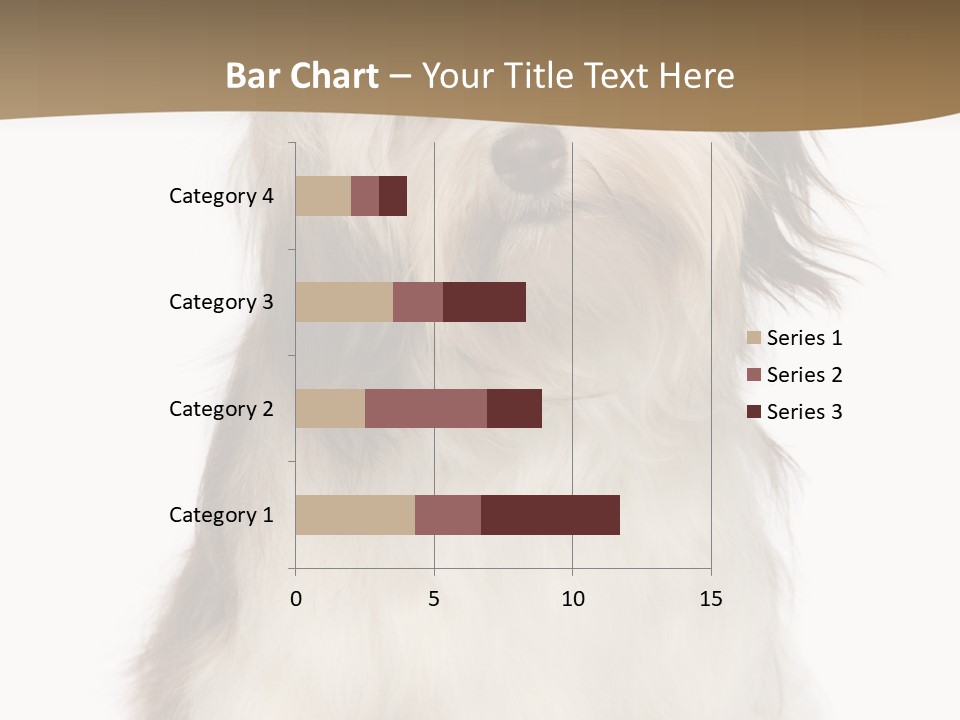 A White And Brown Dog Sitting On Top Of A White Floor PowerPoint Template