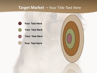 A White And Brown Dog Sitting On Top Of A White Floor PowerPoint Template