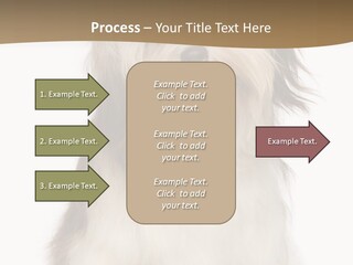 A White And Brown Dog Sitting On Top Of A White Floor PowerPoint Template