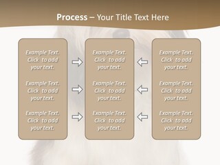 A White And Brown Dog Sitting On Top Of A White Floor PowerPoint Template