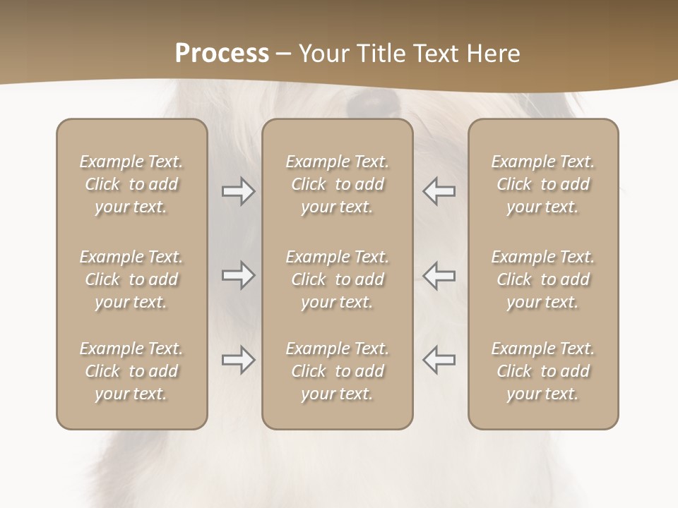 A White And Brown Dog Sitting On Top Of A White Floor PowerPoint Template