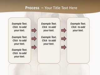 A White And Brown Dog Sitting On Top Of A White Floor PowerPoint Template