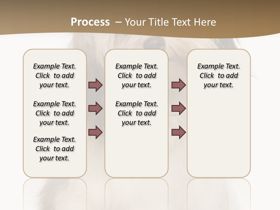 A White And Brown Dog Sitting On Top Of A White Floor PowerPoint Template
