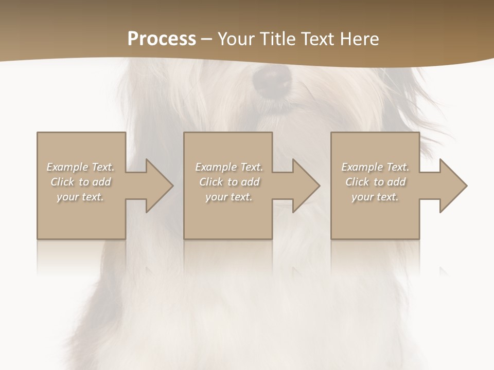 A White And Brown Dog Sitting On Top Of A White Floor PowerPoint Template