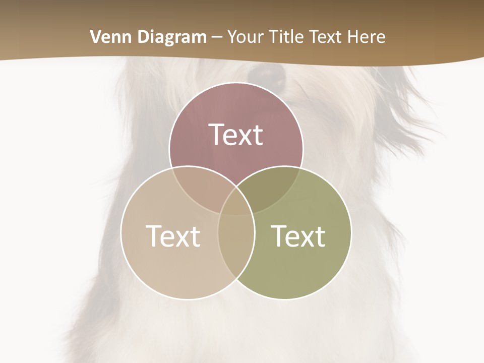 A White And Brown Dog Sitting On Top Of A White Floor PowerPoint Template