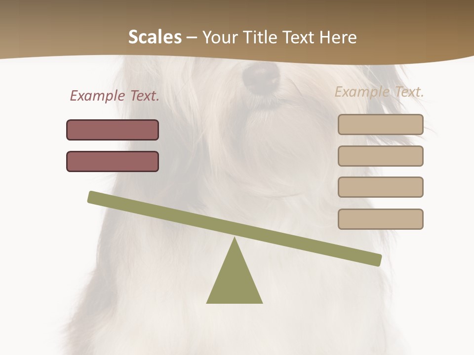 A White And Brown Dog Sitting On Top Of A White Floor PowerPoint Template