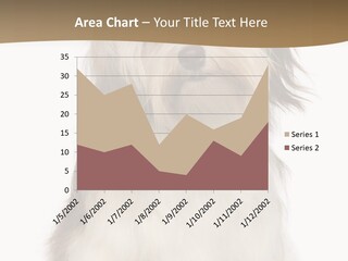 A White And Brown Dog Sitting On Top Of A White Floor PowerPoint Template