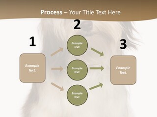 A White And Brown Dog Sitting On Top Of A White Floor PowerPoint Template