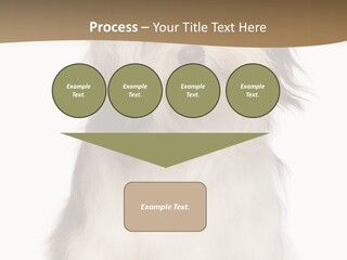 A White And Brown Dog Sitting On Top Of A White Floor PowerPoint Template