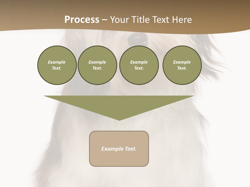 A White And Brown Dog Sitting On Top Of A White Floor PowerPoint Template